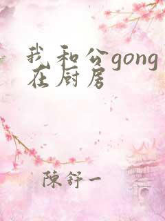 我和公gong在厨房