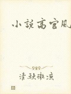 小说高官风流