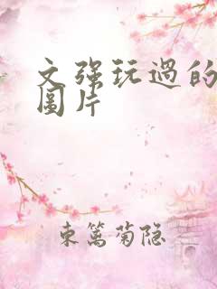 文强玩过的女人图片