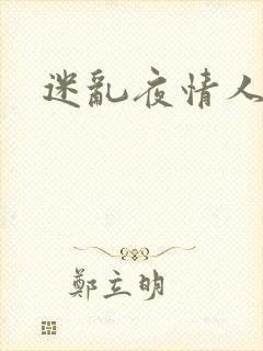 迷乱夜情人