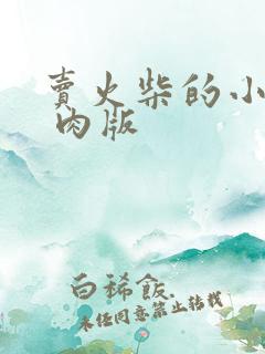 卖火柴的小男孩 肉版