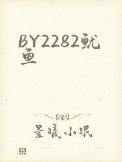 BY2282鱿鱼