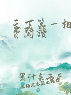 天下第一相书免费阅读