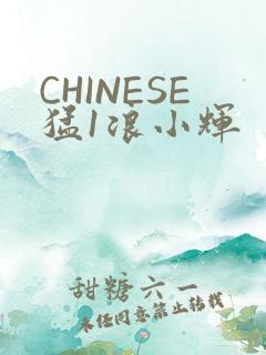 CHINESE猛1浪小辉