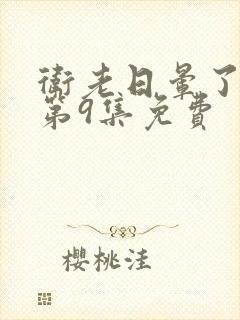 卫老日晕了淑蓉第9集免费