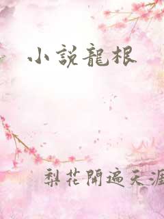 小说龙根