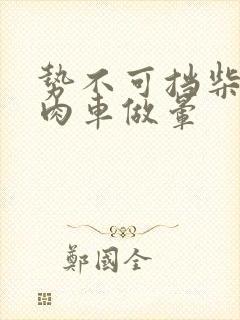 势不可挡柴鸡蛋肉车做晕