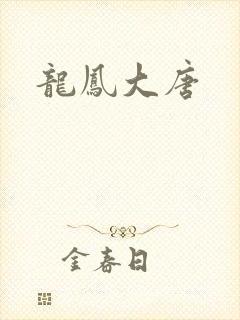 龙凤大唐