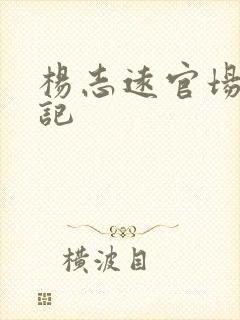 杨志远官场飙升记