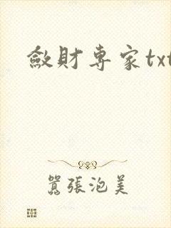 敛财专家txt