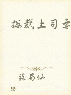 总裁上司要偷心