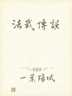 法武传说