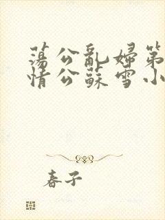 荡公乱妇第1章情公苏雪小说