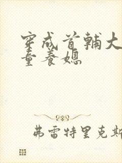 穿成首辅大人的童养媳