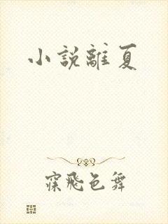 小说离夏