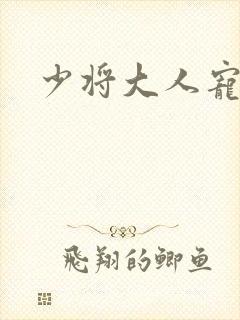 少将大人宠宠我