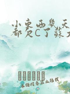 小东西几天没做都欠C了苏大深