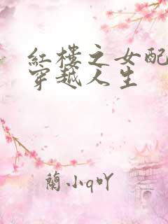 红楼之女配角的穿越人生