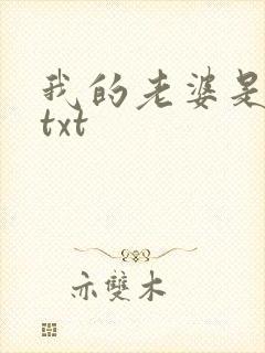 我的老婆是上司txt