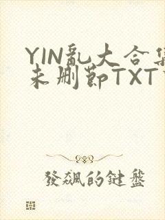 YIN乱大合集未删节TXT下载
