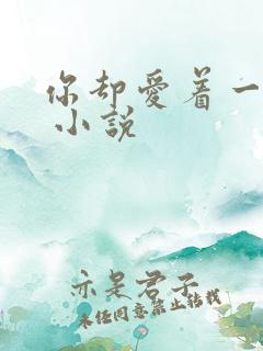 你却爱着一个他 小说