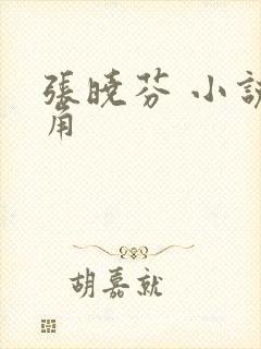 张晓芬 小说主角