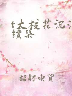 t大校花沉浮录续集