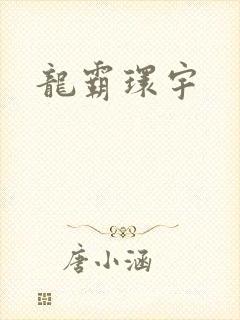 龙霸环宇