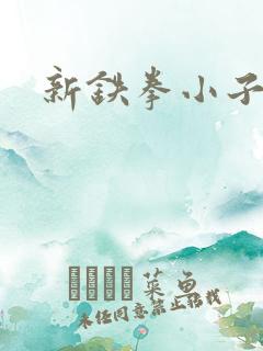 新铁拳小子