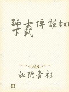 师士传说txt下载