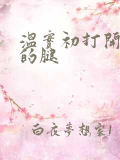 温实初打开眉庄的腿