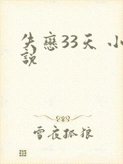 失恋33天 小说