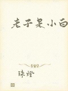 老子是小白脸