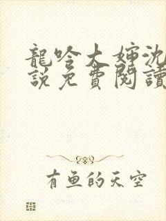 龙吟大婶沈浩小说免费阅读笔趣阁