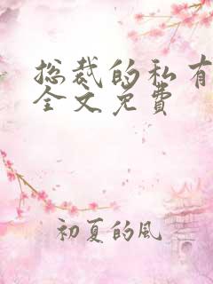 总裁的私有宝贝全文免费