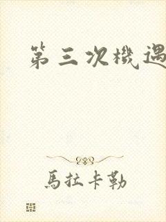 第三次机遇