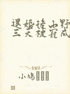 退婚后山野糙汉三天被宠成宝小说