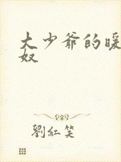 大少爷的暖床小奴