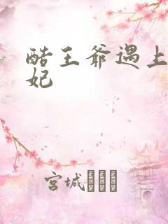 酷王爷遇上穿越妃