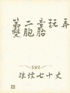 第二章玩弄少妇双胞胎