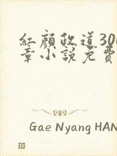 红颜政道300章小说免费阅读