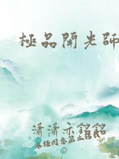 极品开光师阅读