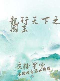 龙行天下之真假国主