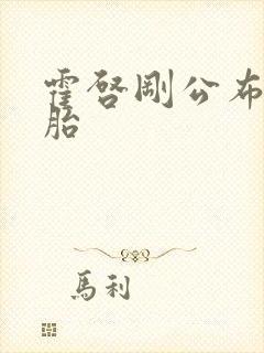 霍启刚公布龙凤胎