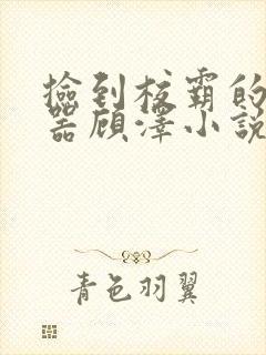 捡到校霸的遥控器顾泽小说免费阅读