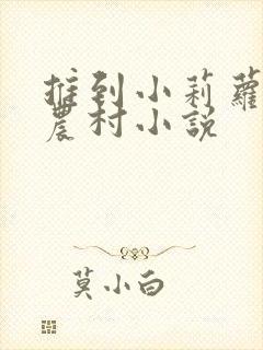 推到小莉萝稚嫩农村小说