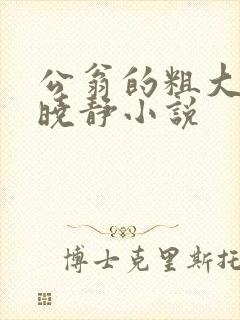 公翁的粗大放进晓静小说