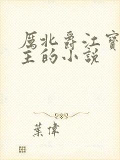 厉北爵江宝宝男主的小说