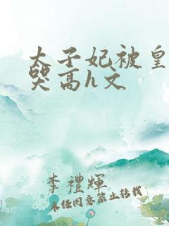 太子妃被皇上c哭高h文