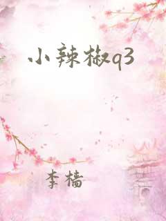 小辣椒q3